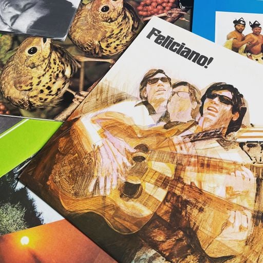 Earth Groove w/ Edible - 27/09/22