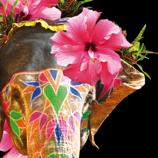 THE GLOBAL GLITCH 55