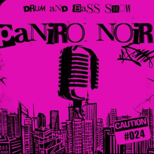 Paniro Noir Soulful DnB Show #024 pt 2