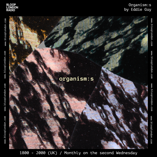 Organisms By Eddie Guy - 11.10.23