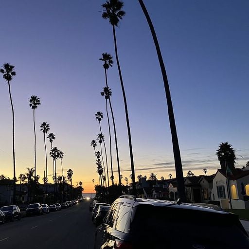 Alex Ho w/ Total Stasis - 12th February 2026