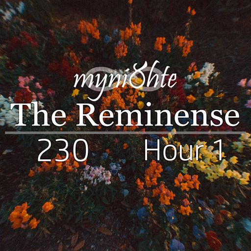 The Reminense 230 - Hour 1