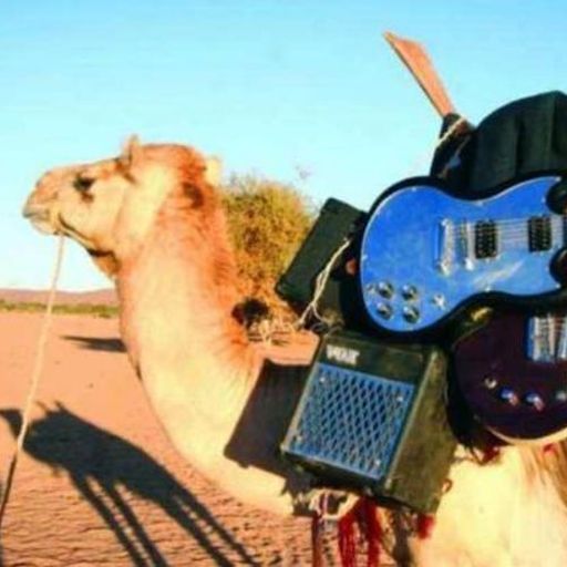 Τα μπλουζ της ερήμου (The desert's blues)