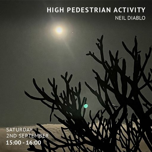 High Pedestrian Activity with Niel Diablo (Sep '23)