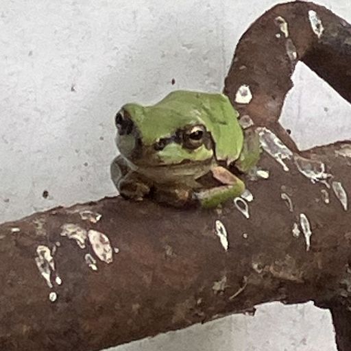 Jim O'Rourke Steamroom - 30th October 2025