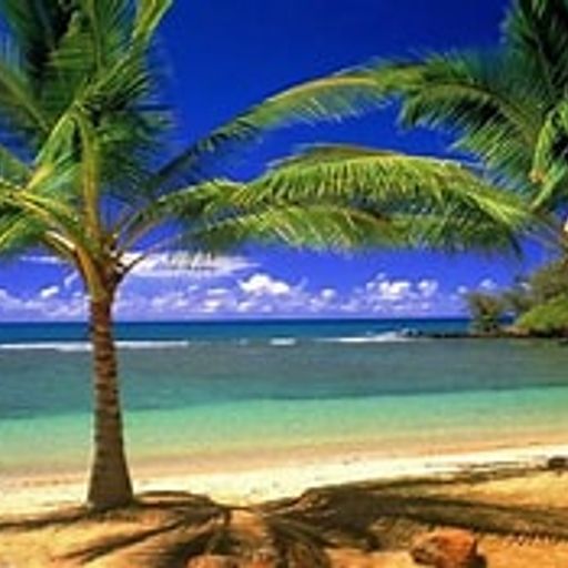 Marbella Sunset Beach Lounge (ChilledLounge)