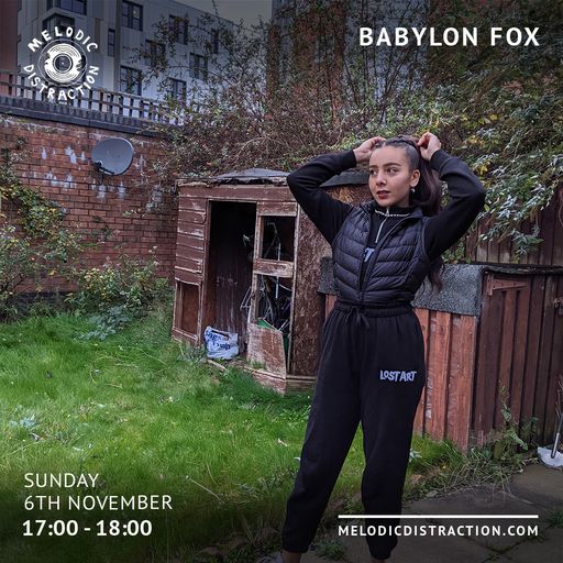 Babylon Fox (November '22)