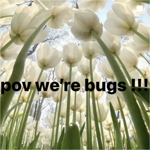 Deep Fried DJ #8 POV you’re a bug 30.05.2024