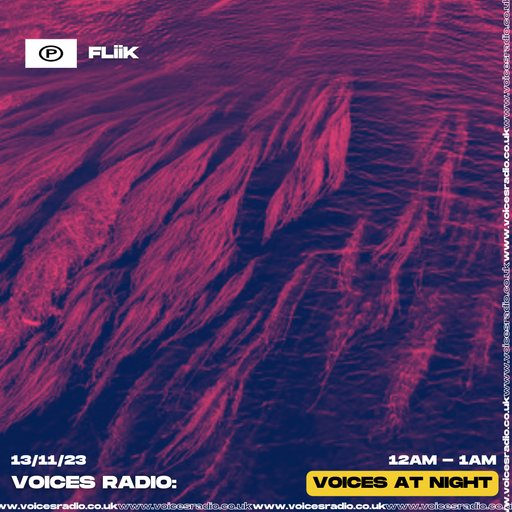 FLiiK - 13/11/23 - Voices Radio