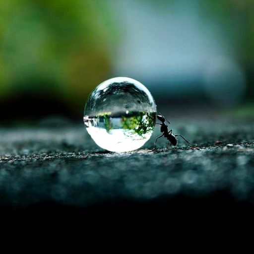 Zen Tunes 1 # Bad Kreuznach Live Mix