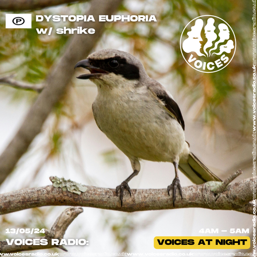 Dystopia Euphoria w/ Shrike - 13/05/24 - Voices Radio
