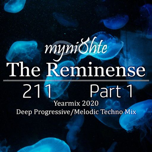 The Reminense 211 - Yearmix 2020 Part 1