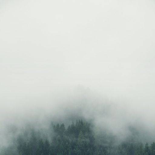 Warmth - Archives 2023