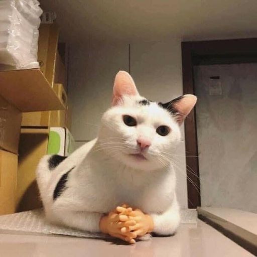 DJ'YE【Tsin Private Mix V2】《抖音熱曲 - 摩托搖 X 抖音熱曲 - 八神搖 X 不是花火呀 - 分你一半 X 展展與羅羅 - 沙漠駱駝》Mixtape 2x23