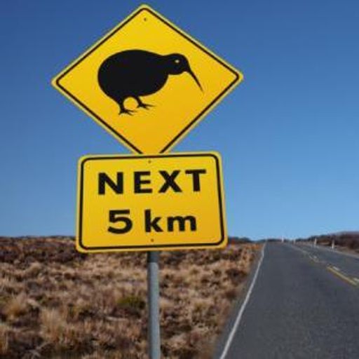 New Zealand Music Show 7/10