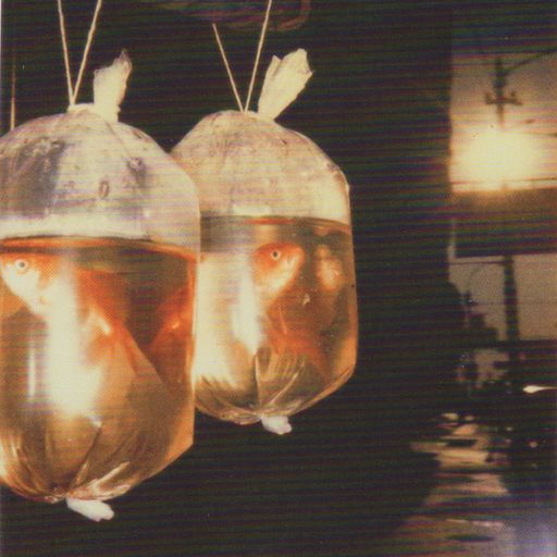Acid Shampoo #17 "Hanging on a wire. High tension !" with Vincent Manfuoco. 22.11.16