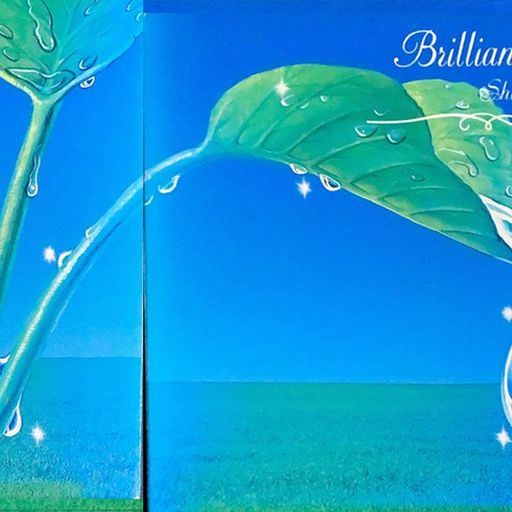 TRiNH - Brillant Energy - 21st November 2025