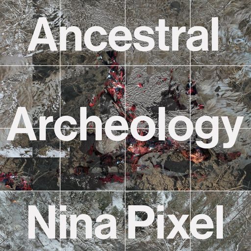 Signals 2 Noise : Ancestral Archaeology: Nina Pixel (Live) 04.10.2024