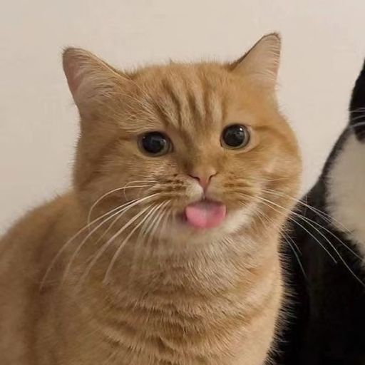 Y专属【笑柄 x 如果是遗憾 x die for you x 你最近好吗 x 置身事外】DJ HoLend Remix