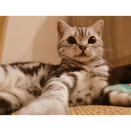 DJ'YE【Aero Chong Private Mix】《Apologize Nhom X Edu Setipu XDS - Letih X Paramore - Still Into You》