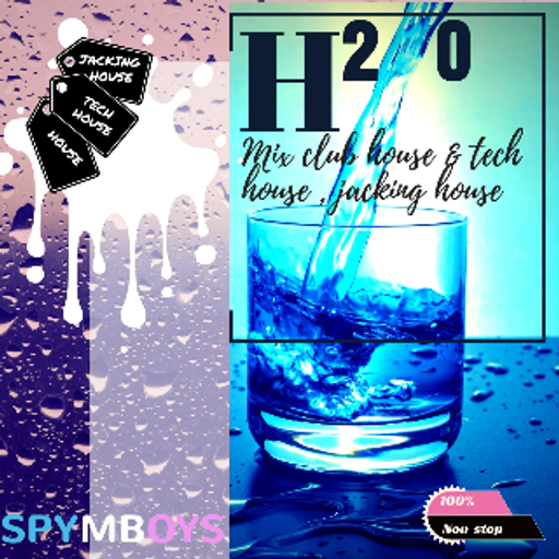 H2 O