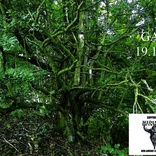 GASP 19/11/16 - Into The Forest!