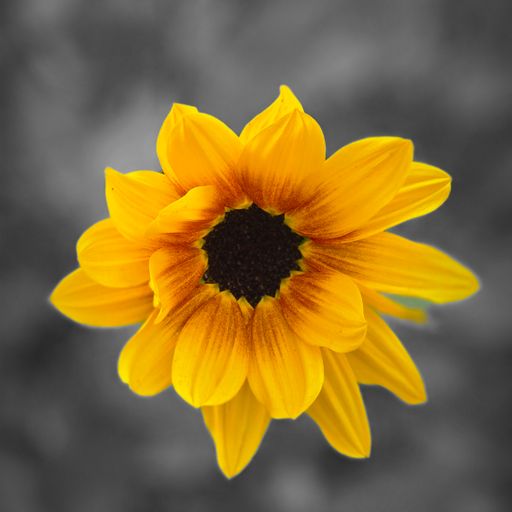 Saturday Sessions (24/01/26) jazz, remixes, techno, trance & hip hop (mainly)