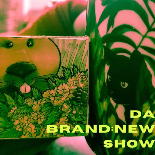 da brand:new show +.+