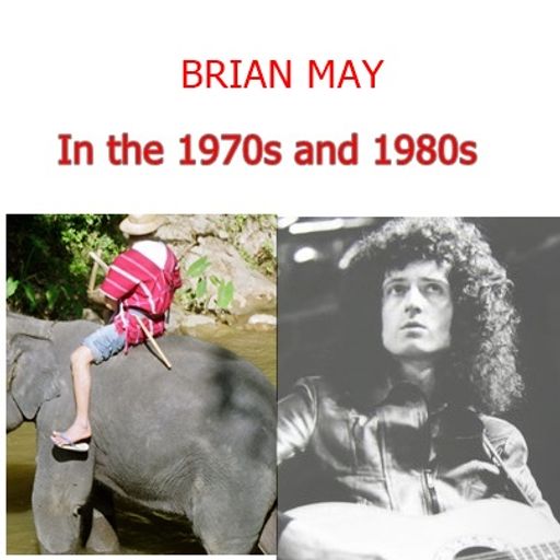 Interviews with John Forgety David Crosby Brian May Emmylou Harris