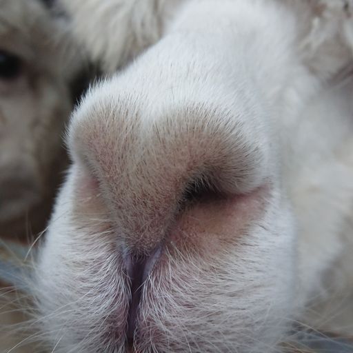 Live set - 1 - Messy weekend mash up - 1. (8/1/21) (Caster)