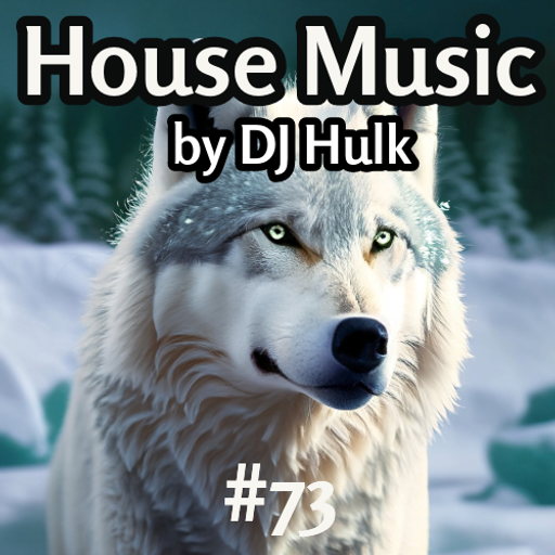 Too Many - Tech / Tribal / Latin / Club House Mix#73