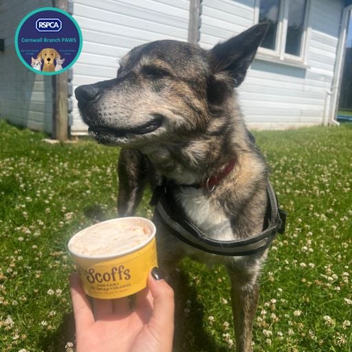 Leanne Bawden, Love Lulu Week (15/08/25)