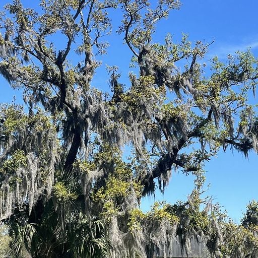 Self Soothe w/ Margeaux - 24th March 2026