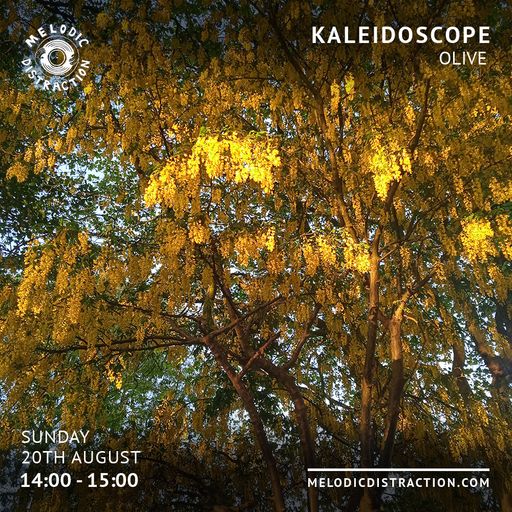 Kaleidoscope with Olive (August '23)