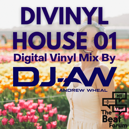 Divinyl House 01 - Mixed BY DJ-AW