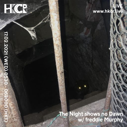 The Night shows no Dawn w/freddie Murphy - 17/02/2021