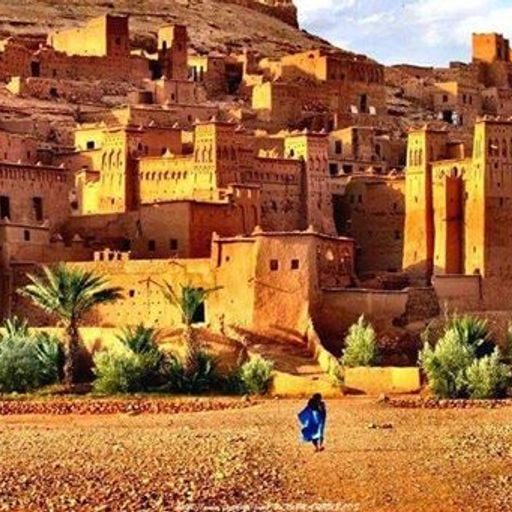 Café Oriental (Arabic&LatinGrooves)