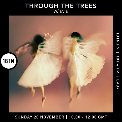 Through The Tree's with Evie - 20.11.2022