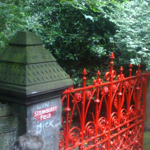 Strawberry Fields Reverie