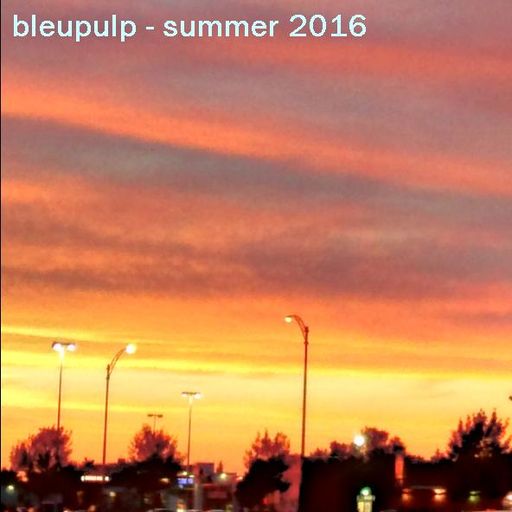 bleupulp - summer 2016