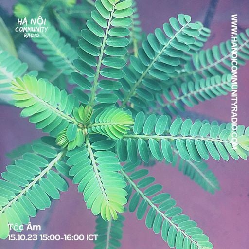 Tộc Âm w/ Phillip 005