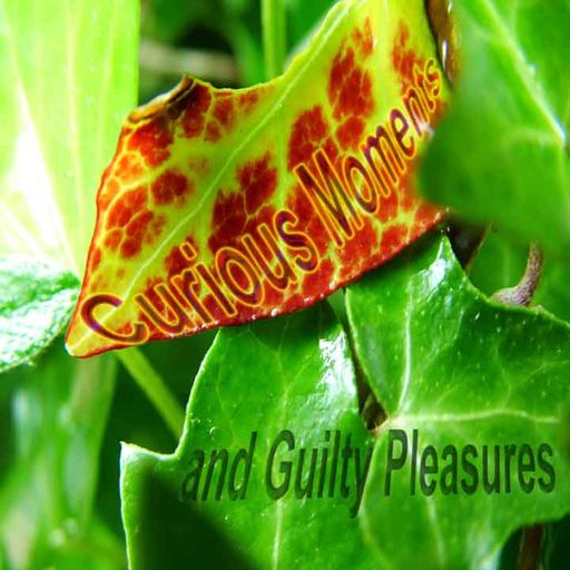 Curious Moments and Guilty Pleasures