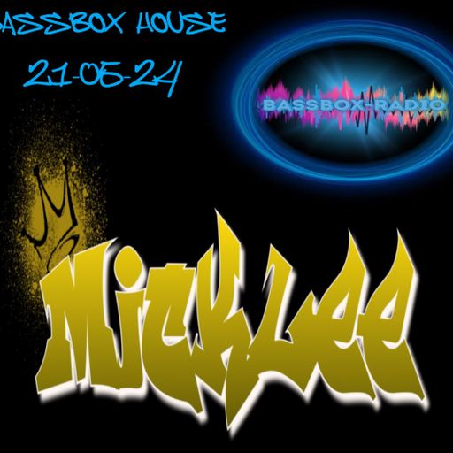 Mick Lee Bassbox House