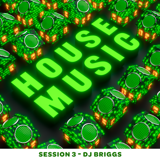 House Music Session 3 - Dj Briggs