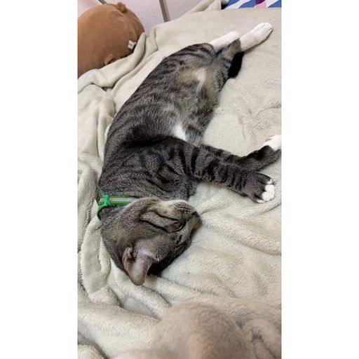 DJ'YE【懷舊慢搖舞曲】《重新來過 x 情一動心就痛 x 最後我們沒在一起 x 如果最後不是你 x 生僻字》Rmx 2x21 Private Mixtape Just For Bryan