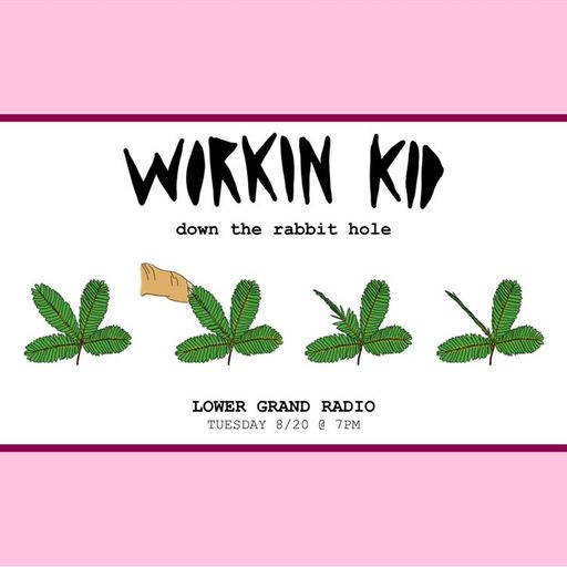 Workin Kid 8.20
