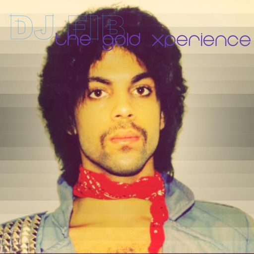 The Gold Xperience ~ DJ Fib.