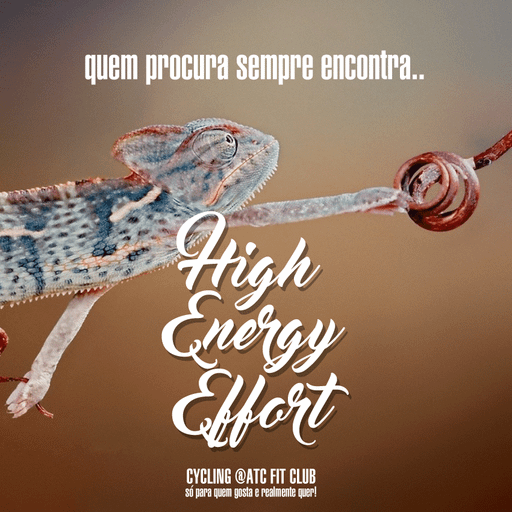 Quem procura sempre encontra