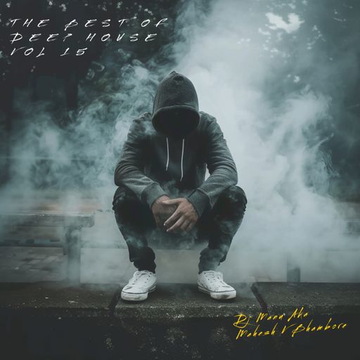 The Best of Deep House Vol 15 by DJ Manu aka Mahesh V Bhambore