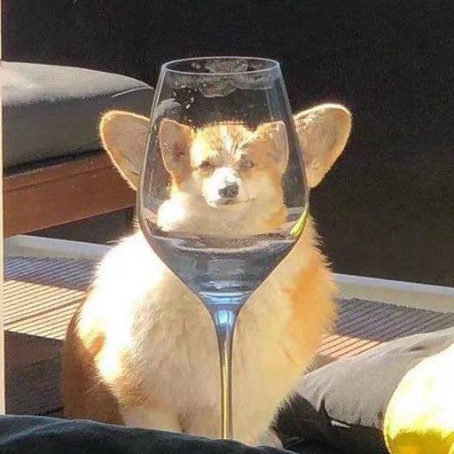 DJ冬冬【柬埔寨白马龘龘专属】PROGHOUSE【VOL3】「流浪连 · 我的好兄弟 · 爱如潮水 · 忘不掉的你 · 舍得」2025'MIXX